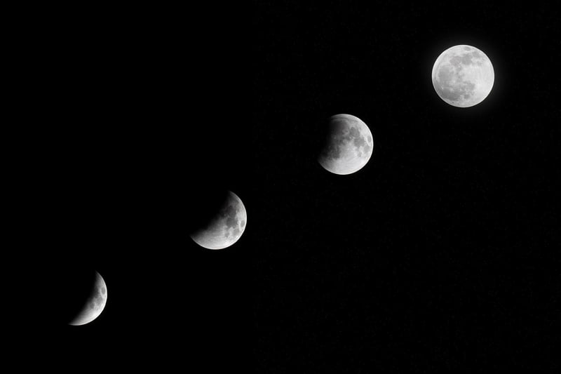 Moon Garden Receptions
